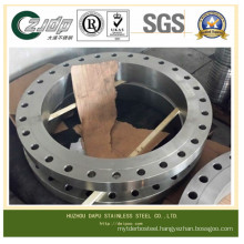 Forged Stainless Steel Flange or Casting Flange